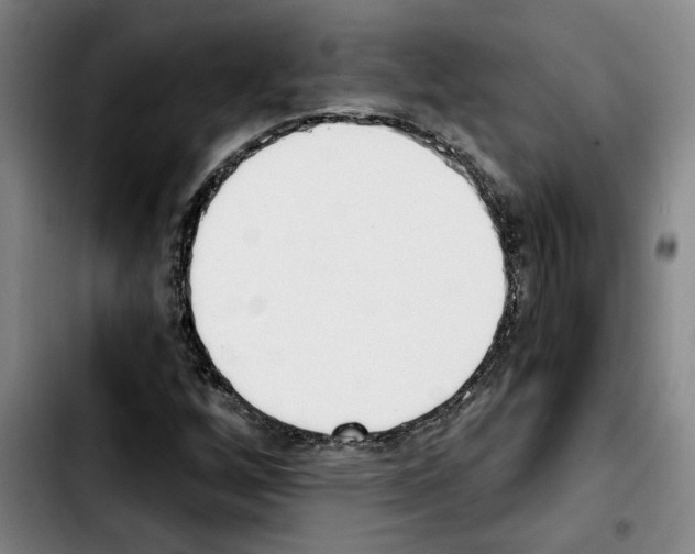 X0000103441256200810241113