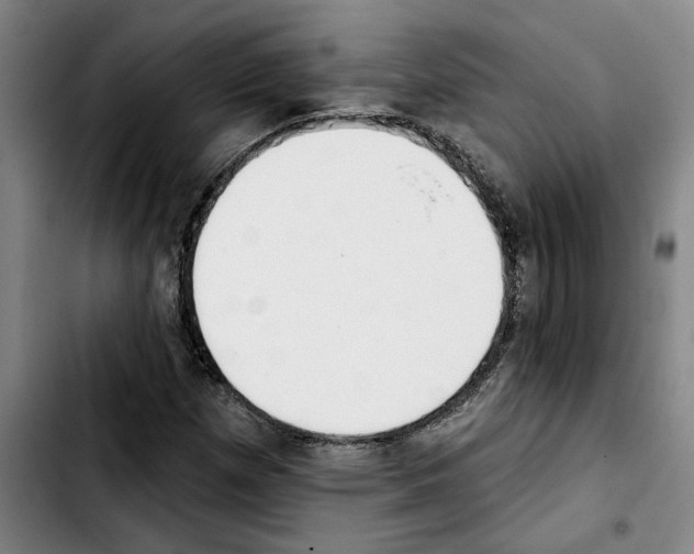 X0000103441257200810241113