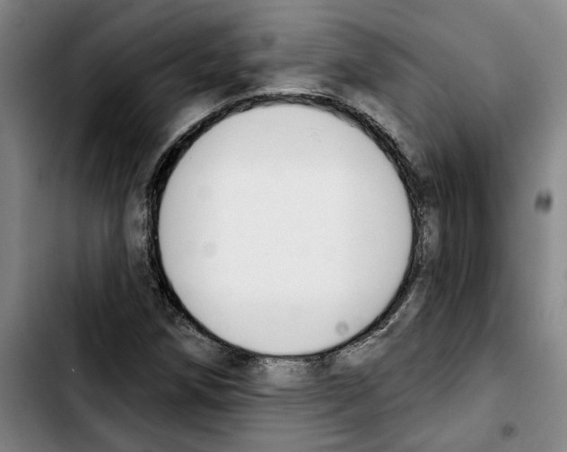 X0000103441258200810241113