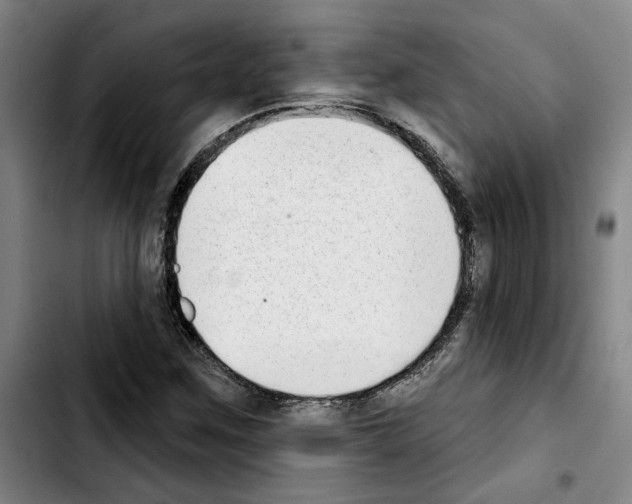 X0000103441259200810241113
