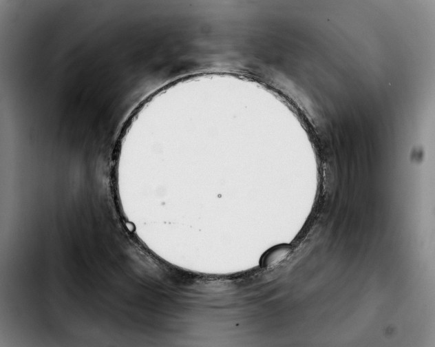 X0000103441260200810241113