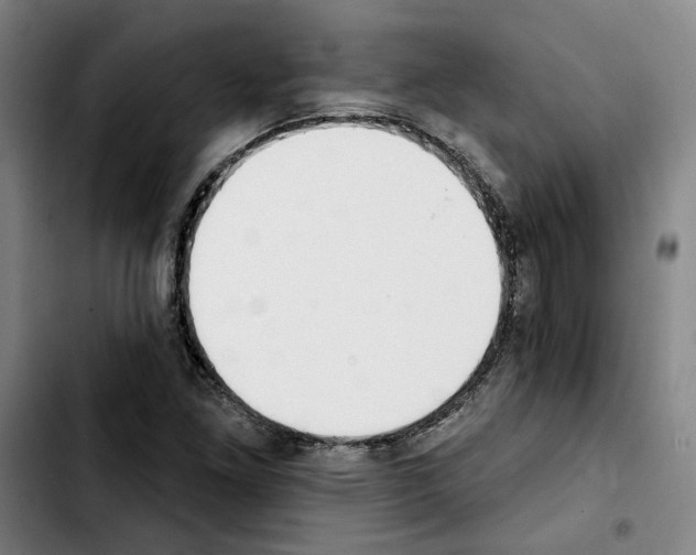 X0000103441261200810241113