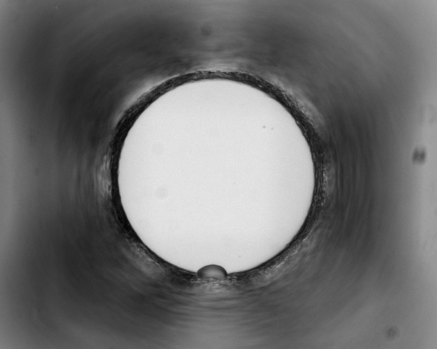 X0000103441262200810241113