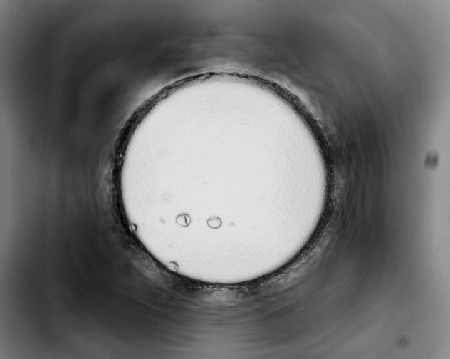 X0000103441263200810241113