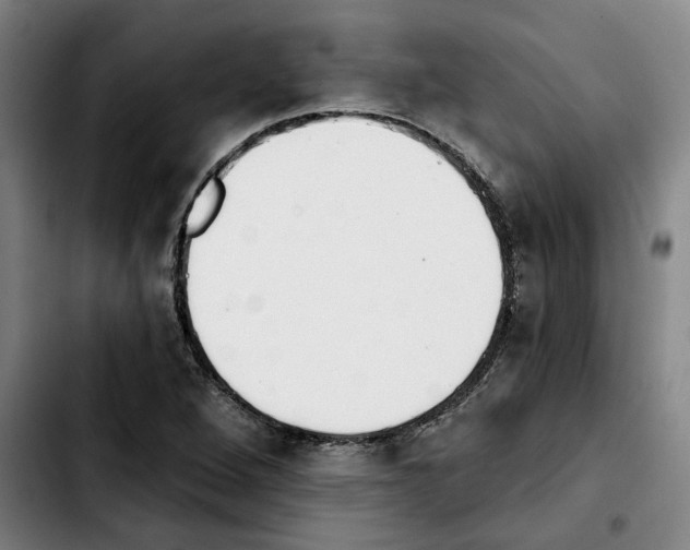 X0000103441264200810241113
