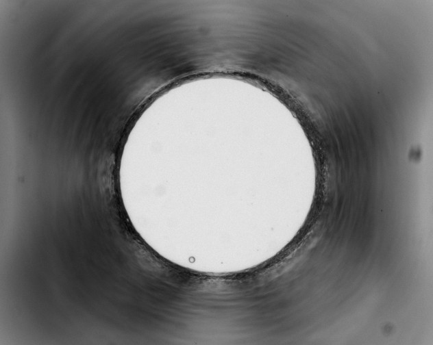 X0000103441265200810241113
