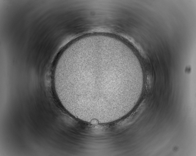 X0000103441266200810241113