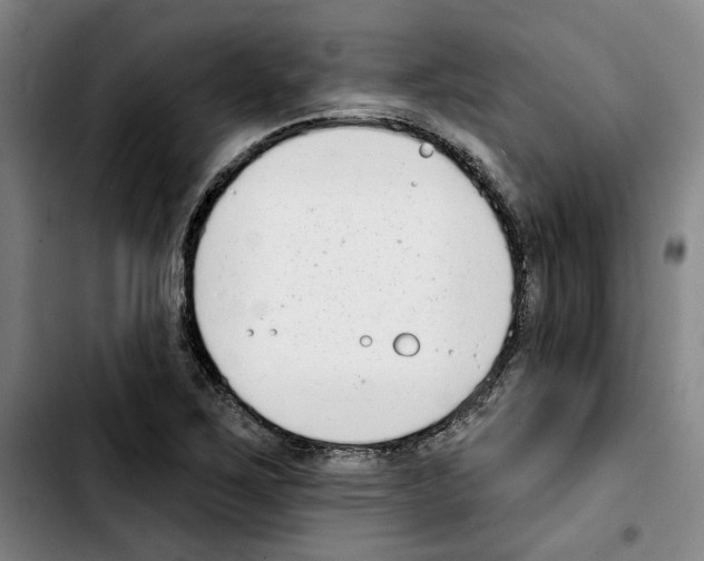 X0000103441267200810241113