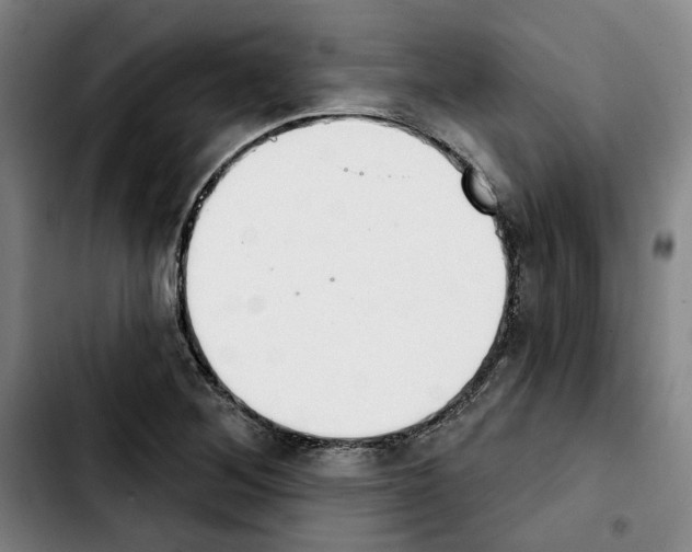 X0000103441268200810241113