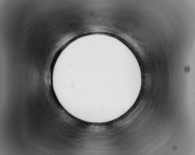 X0000103441269200810241113