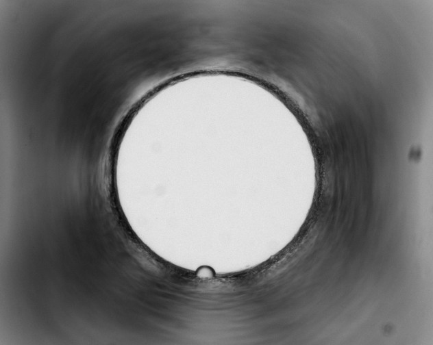 X0000103441270200810241113