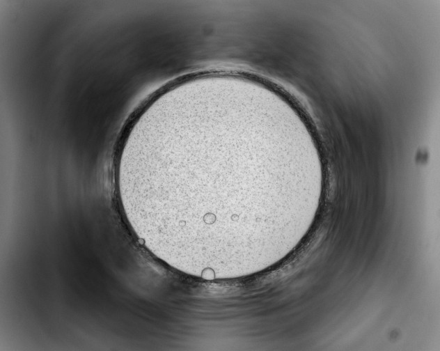 X0000103441271200810241113