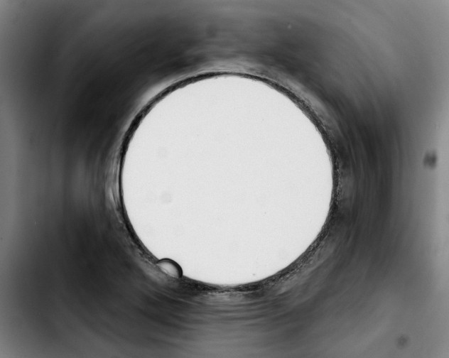 X0000103441272200810241113