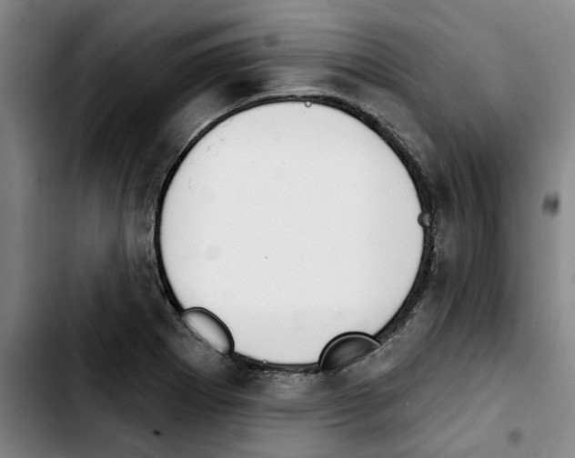 X0000103441273200810241113