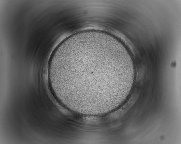 X0000103441274200810241113