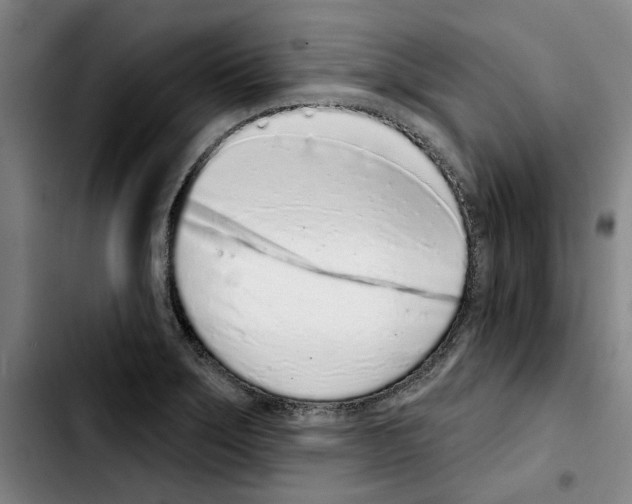 X0000103441275200810241113