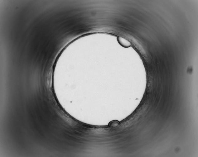 X0000103441276200810241113