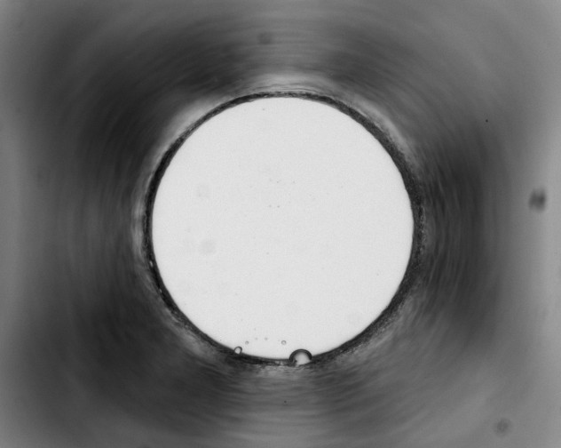 X0000103441277200810241113