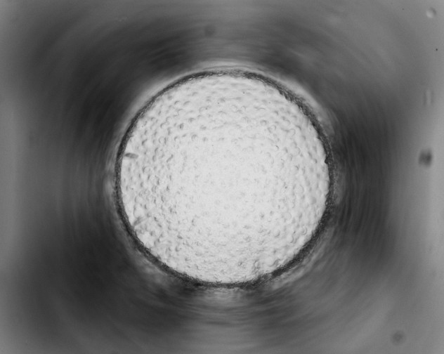 X0000103441279200810241113