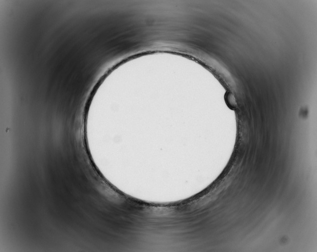 X0000103441280200810241113