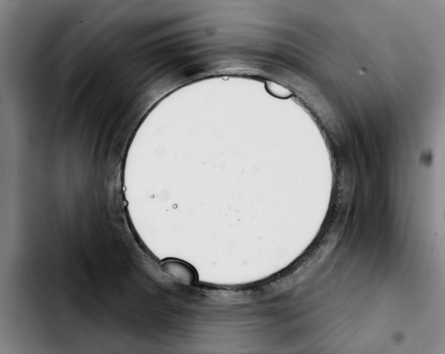 X0000103441281200810241113