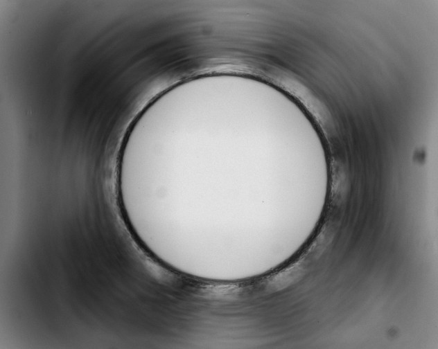 X0000103441282200810241113