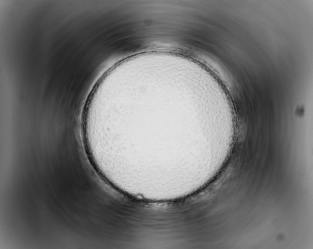 X0000103441283200810241113