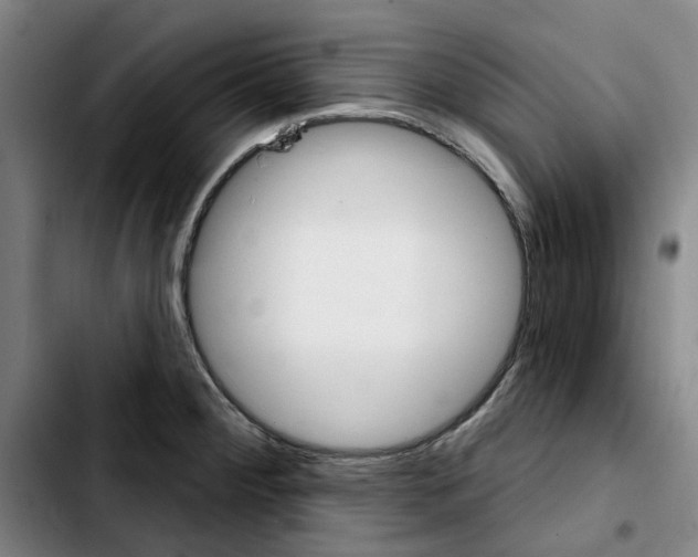 X0000103441284200810241113