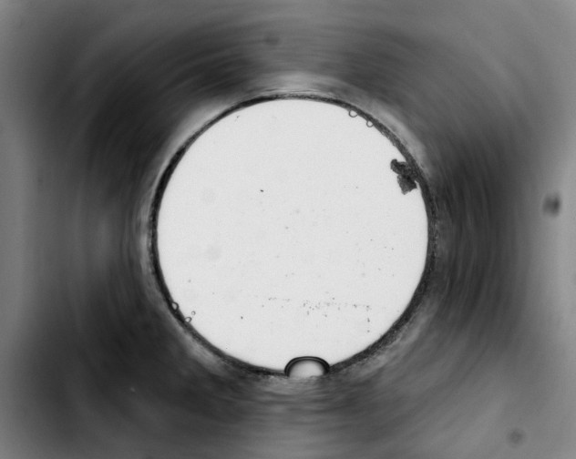 X0000103441285200810241113