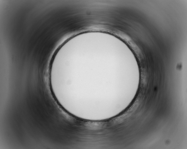 X0000103441286200810241113