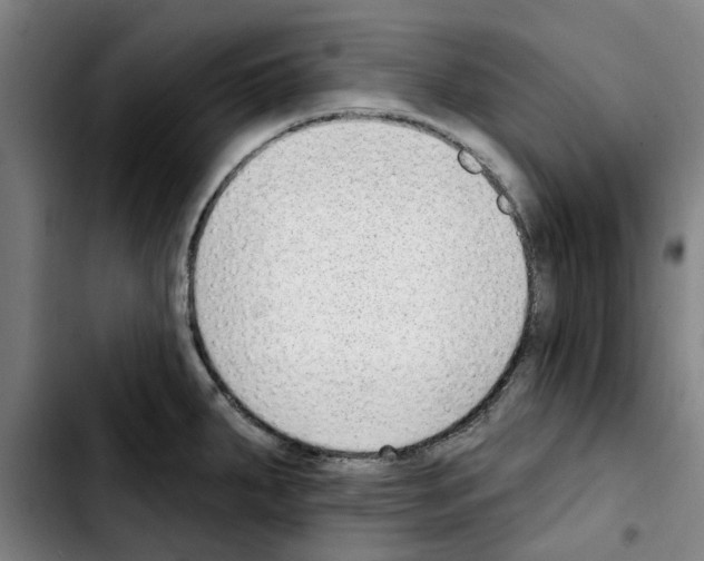 X0000103441287200810241113