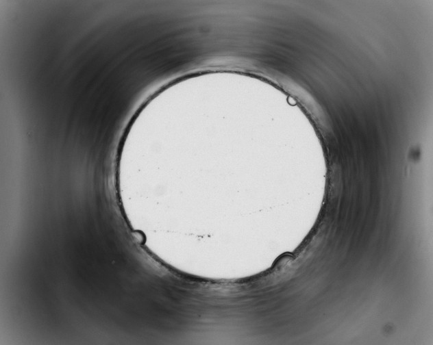 X0000103441288200810241113