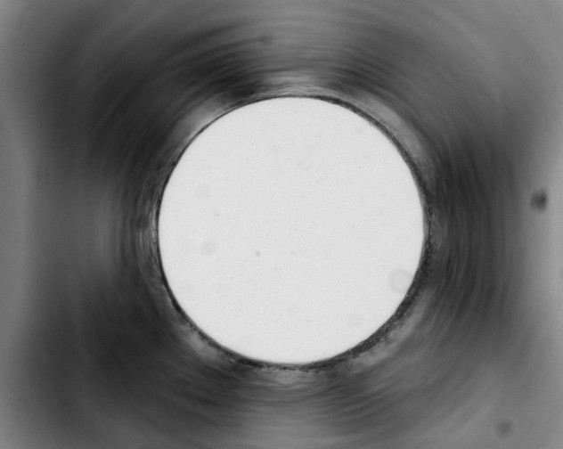 X0000103441289200810241113