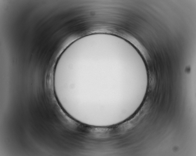X0000103441290200810241113