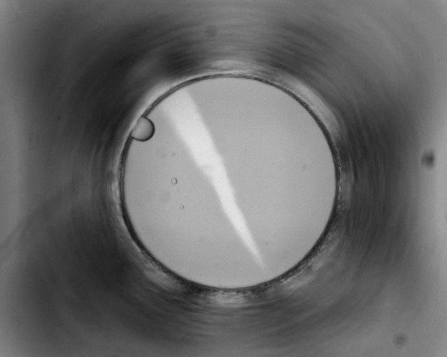 X0000103441291200810241113