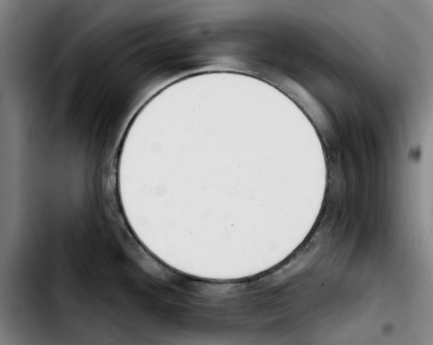 X0000103441292200810241113