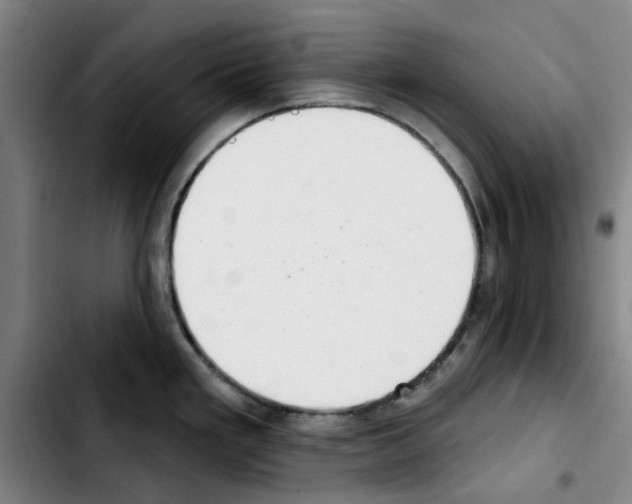 X0000103441293200810241113