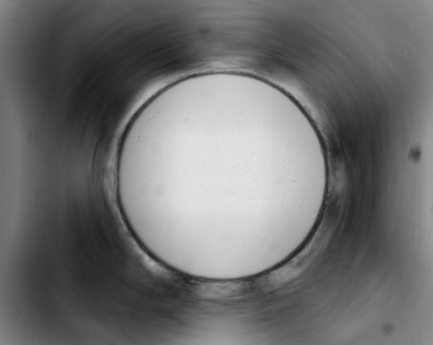 X0000103441294200810241113