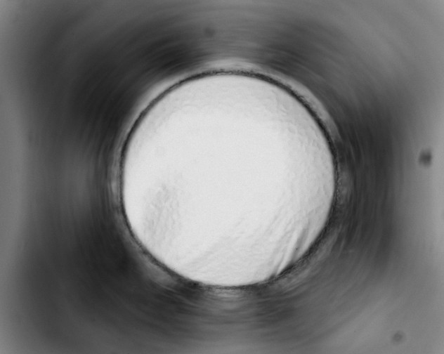 X0000103441295200810241113
