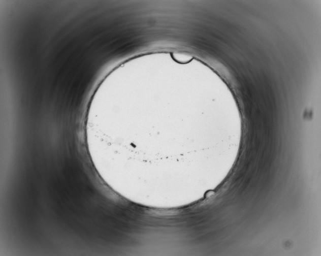 X0000103441296200810241113