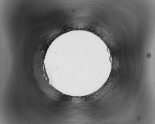 X0000103441297200810241112