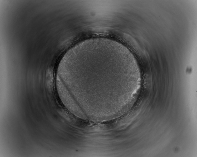X0000103441298200810241112