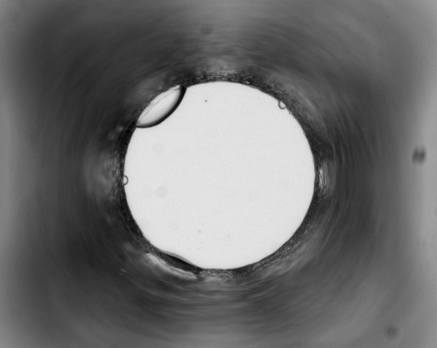 X0000103441299200810241112