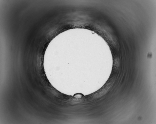 X0000103441300200810241112