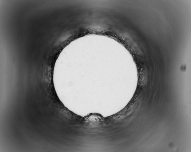 X0000103441301200810241112