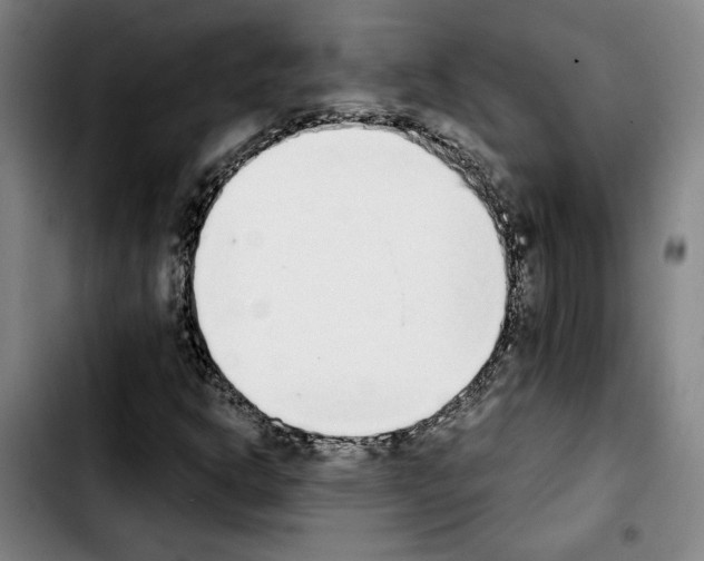 X0000103441302200810241112