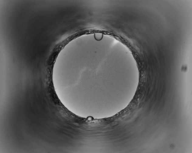 X0000103441303200810241112