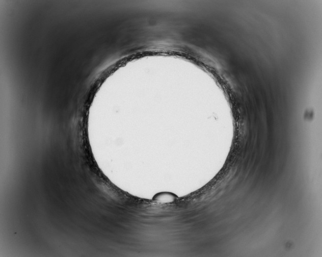 X0000103441304200810241112