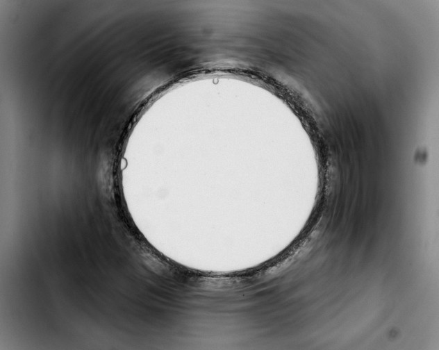 X0000103441305200810241112