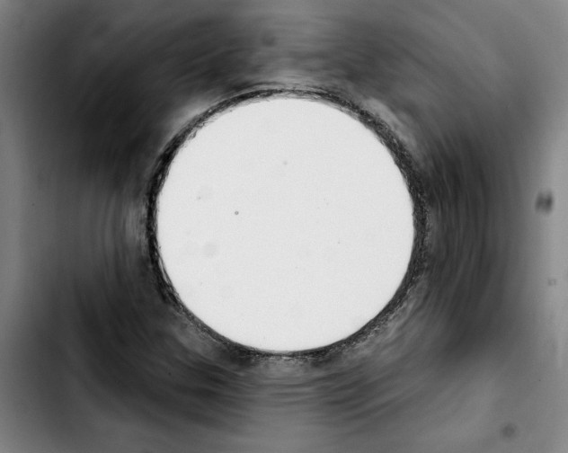 X0000103441307200810241112